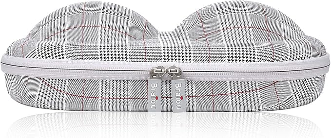 Bra Case Premium Lingerie Travel Bag Zip Underwear Organizer Bag for A-C Cup (Swallow Gird, Red)