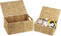 Set of 2 Wicker Basket with Lid, Rectangular Water Hyacinth Storage Baskets for Organizing, Decorative Woven Basket Bins Boxes for Organizing Home