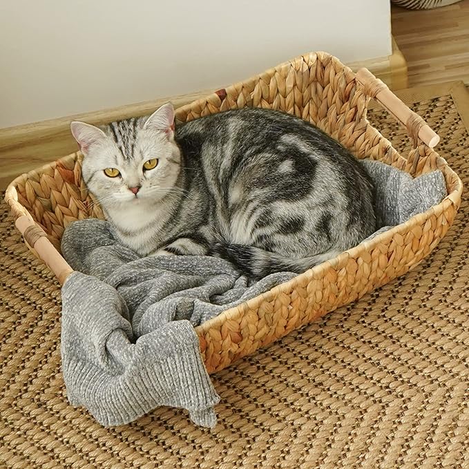 StorageWorks Hand-Woven Storage Baskets with Wooden Handles, Water Hyacinth Wicker Baskets for Organizing, 2 Pack