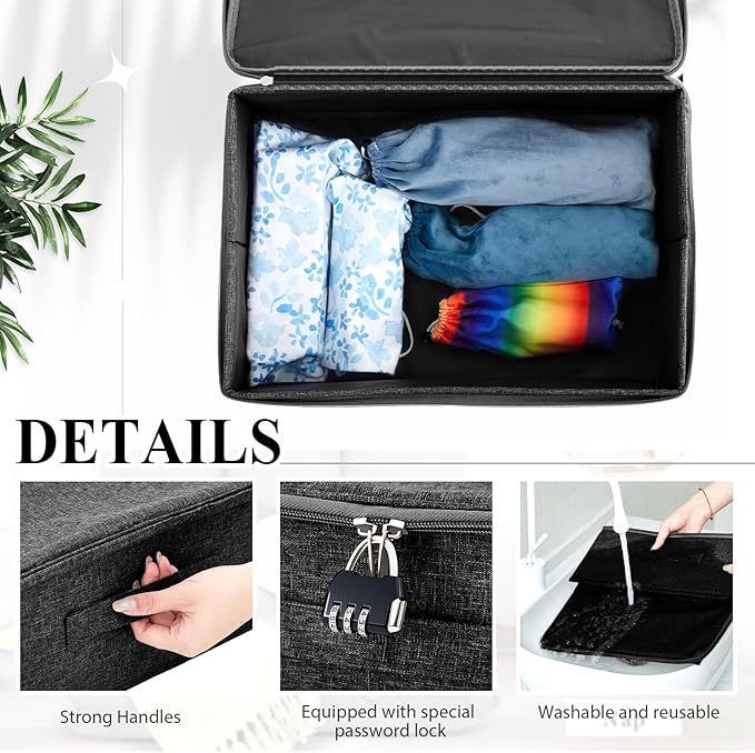 Discreet Lockable Toy Bag Storage Organizer Toy Bag Storage Bins Case with Zipper Lid for Women and Men Clothes Container(Black,15 x 10 x 6.3 Inch)