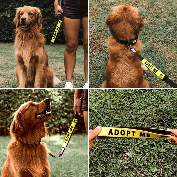 Tuff Pupper Waterproof Leash Sleeve | Fits Any Standard Size 1 Inch Wide Leash | Dual Sided Message | Durable Neoprene & Silicone | Odor & Stink Proof | Easy Secure On & Off (2 Pack, Adopt Me)
