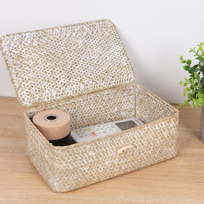 FEIALNDUO Wicker Shelf Baskets with Lid,Seagrass Storage Basket Bins Rectangular Handwoven Basket Boxes for Shelves Desktop Home Organizer (Whitewash, Small)