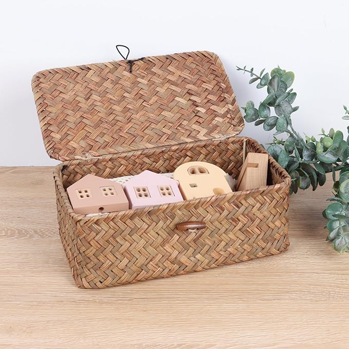 FEIALNDUO Wicker Shelf Baskets with Lid,Seagrass Storage Basket Bins Rectangular Handwoven Basket Boxes for Shelves Desktop Home Organizer (Coffee, X-Small)