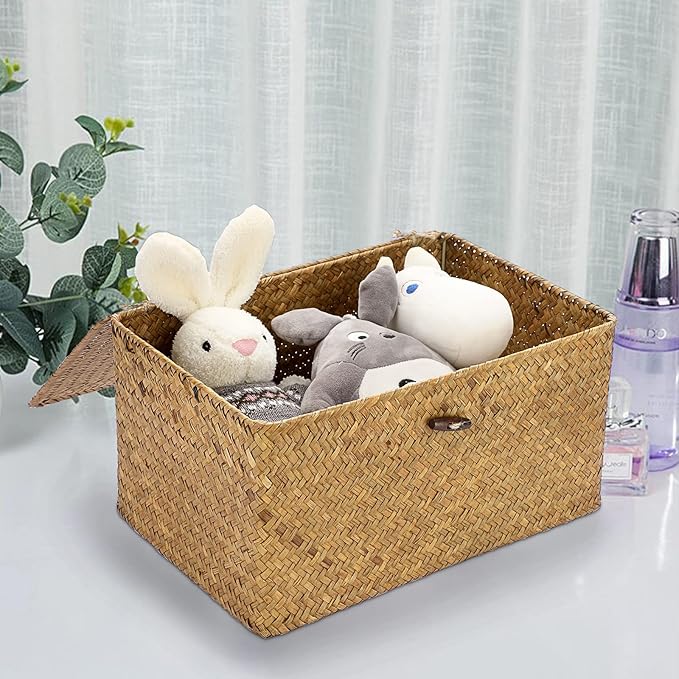 Hipiwe Wicker Shelf Baskets Bin with Lid, Handwoven Seagrass Basket Storage Bins Rectangular Household Basket Boxes for Shelf Wardrobe Home Organizer, Caramel Small