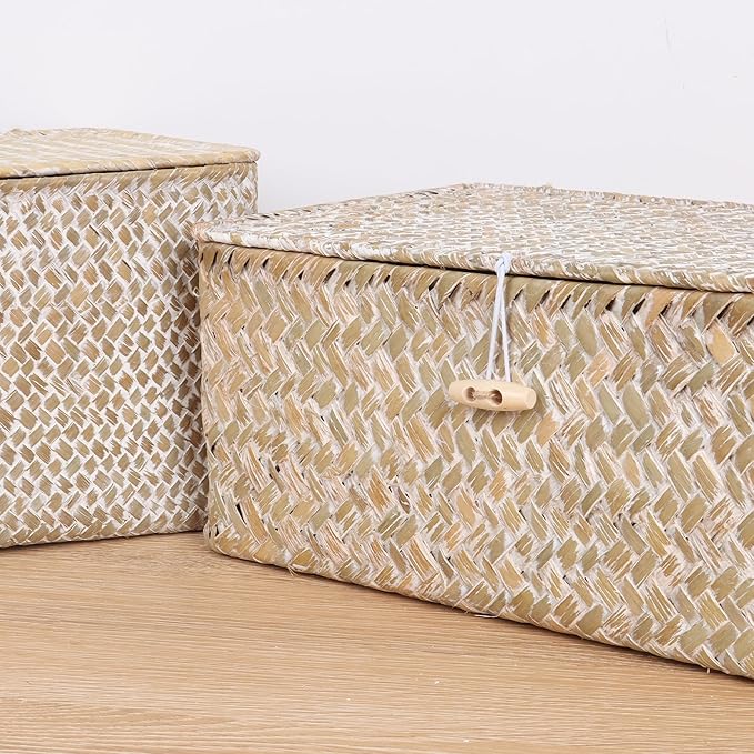 FEIALNDUO Wicker Shelf Baskets with Lid,Seagrass Storage Basket Bins Rectangular Handwoven Basket Boxes for Shelves Desktop Home Organizer (Whitewash, X-Small)
