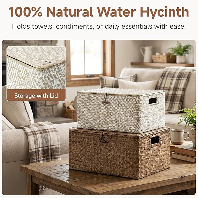 StorageWorks Wicker Baskets with Lid, Seagrass Storage Baskets for Shelves, Decorative Box with Built-in Handles,White