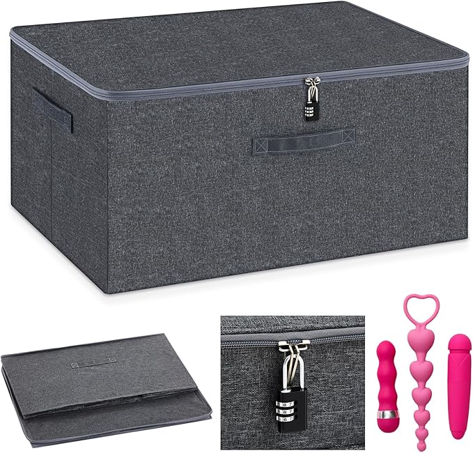 Discreet Lockable Toy Bag Storage Organizer Toy Bag Storage Bins Case with Zipper Lid for Women and Men Clothes Container(Gray,19.3 x 14.6 x 11.8 Inch)