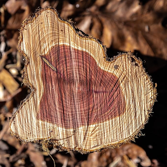 Cedar Wood Closet Freshener for Clothes Hangers, 30 Wooden Flowers for Wardrobe Closet - Cedarwood Hangers - Wood Ring Pack - Clothes Refresher - Cedar for Drawers and Closets